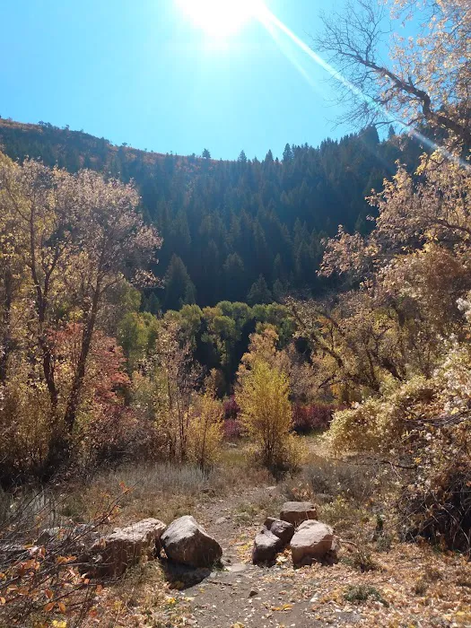 Botts Campground Picture 2