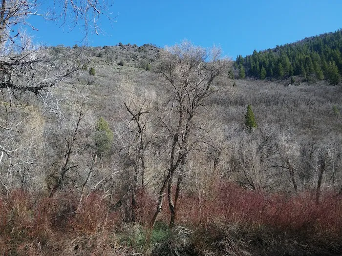 Magpie Campground Picture 7