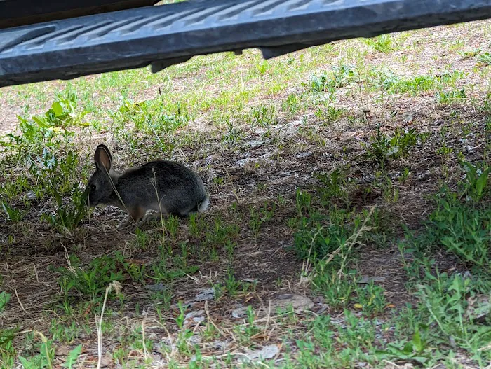 Camp Atoka Picture 3