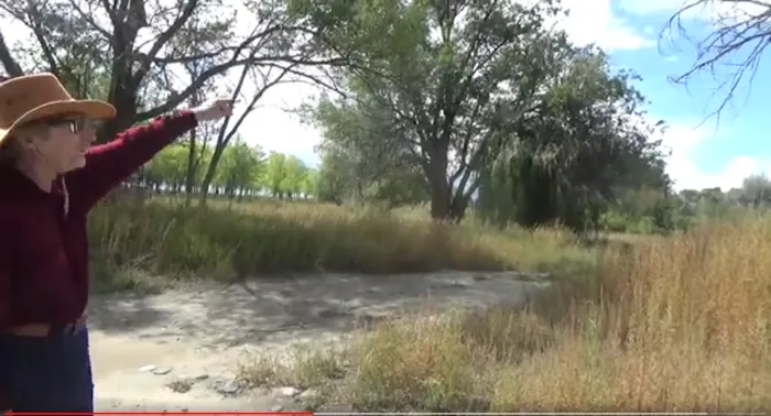 Westside Campground / Ocean Lake WHMA Picture 1