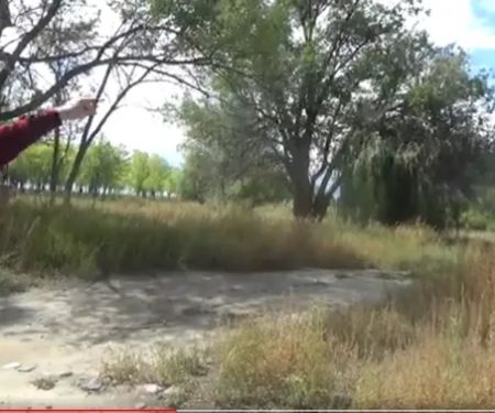 Westside Campground / Ocean Lake WHMA