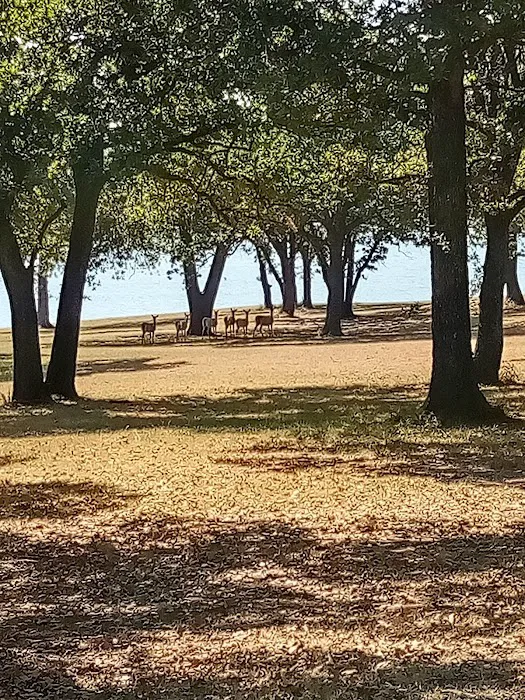 LH Campground, Fishing, Pavillion Picture 5