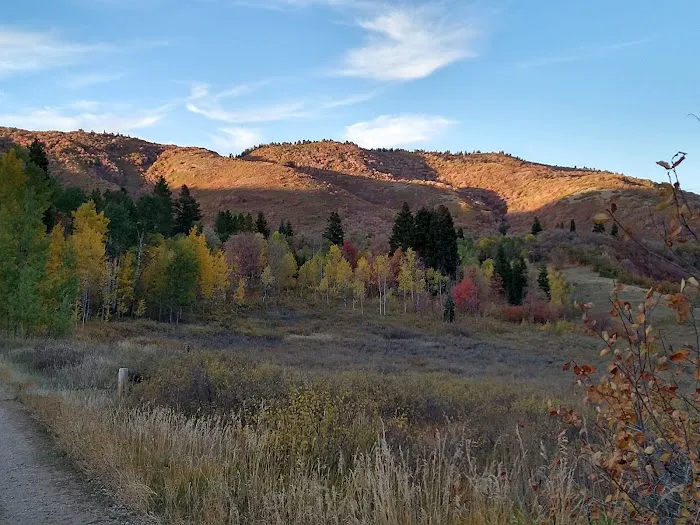 Maples Campground Picture 3