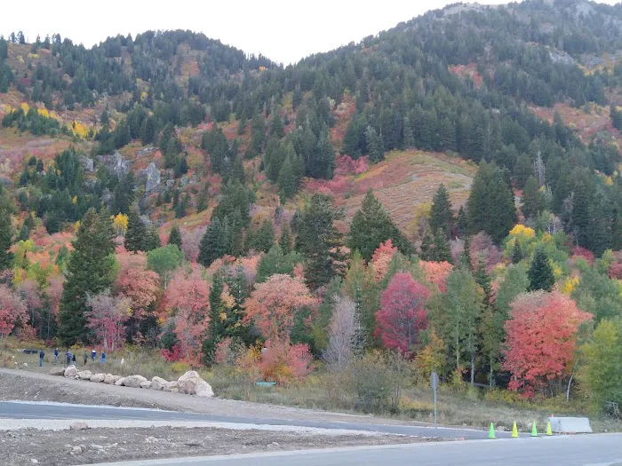 Maples Campground Picture 8