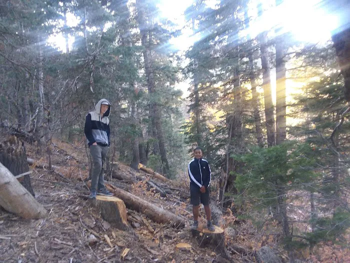Maples Campground Picture 9