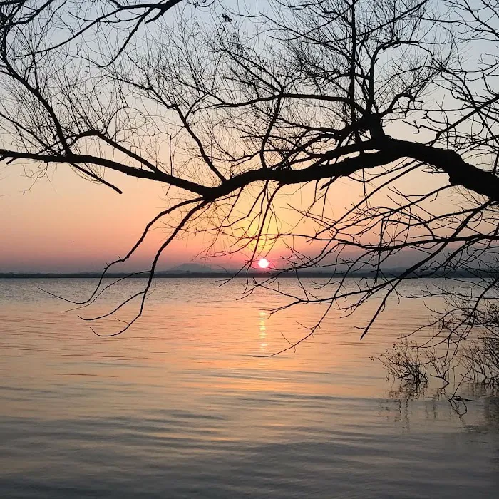 Collier's Landing Picture 3