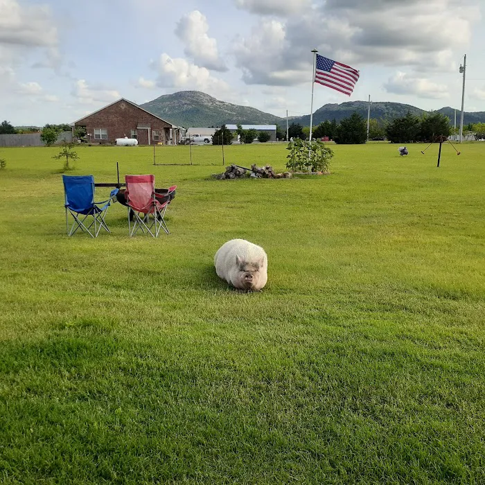 Buffalo Gap Rv Park Picture 2