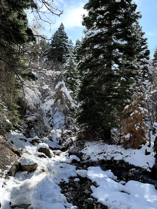 Adams Canyon Bridge Campground Picture 5