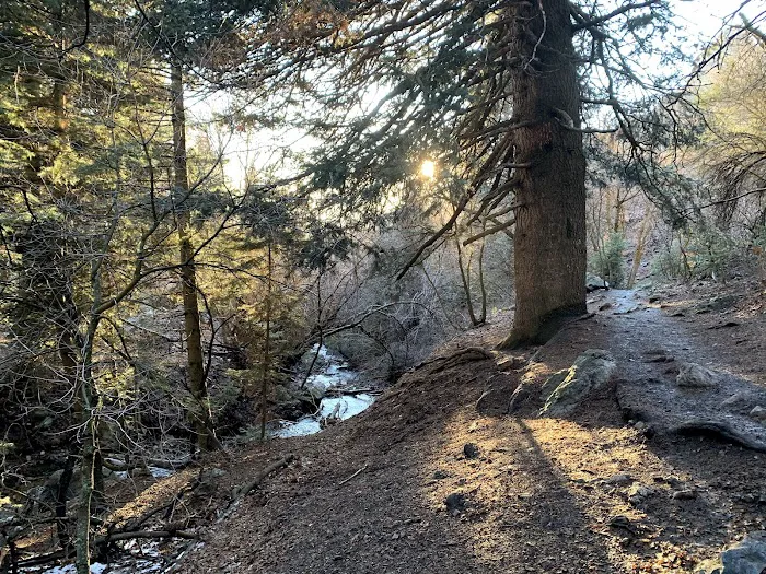 Adams Canyon Bridge Campground Picture 10