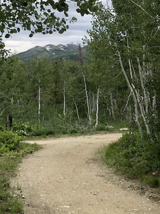 Bountiful Peak Campground Picture 2