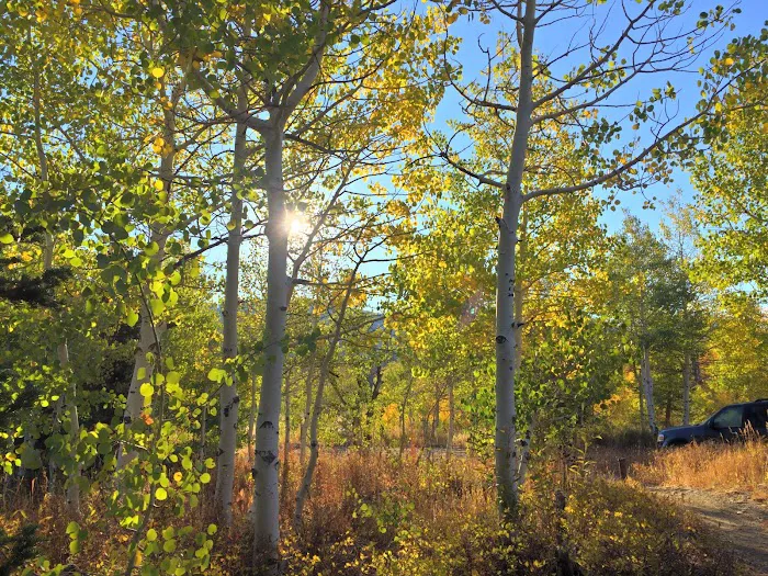 Bountiful Peak Campground Picture 8
