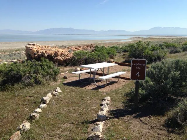 Ladyfinger Campground Picture 1