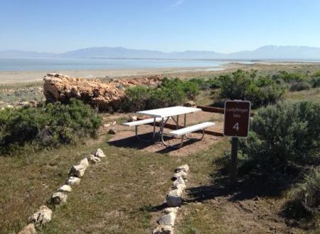 Ladyfinger Campground