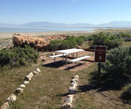 Ladyfinger Campground