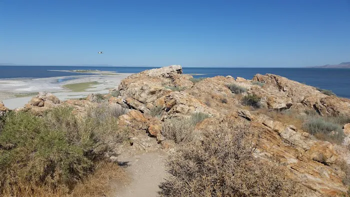 Antelope Island Campground Picture 9