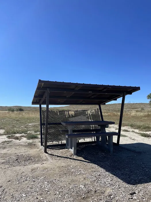 Freier Beach Campsite Picture 1