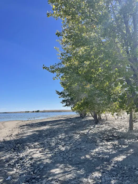 Freier Beach Campsite Picture 4
