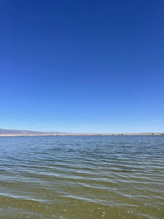 Freier Beach Campsite Picture 2