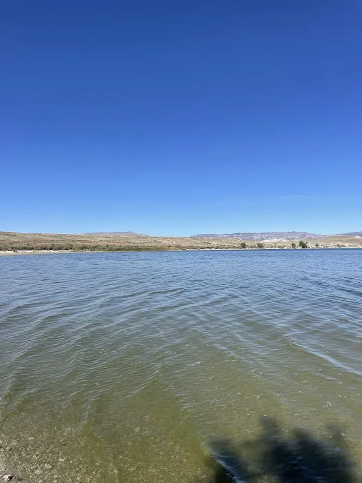 Freier Beach Campsite Picture 8