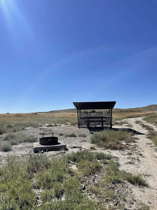 Freier Beach Campsite Picture 5