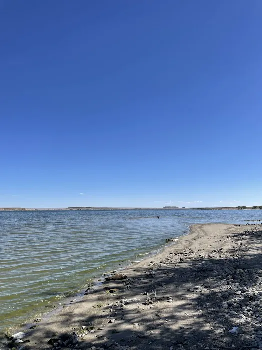 Freier Beach Campsite Picture 7