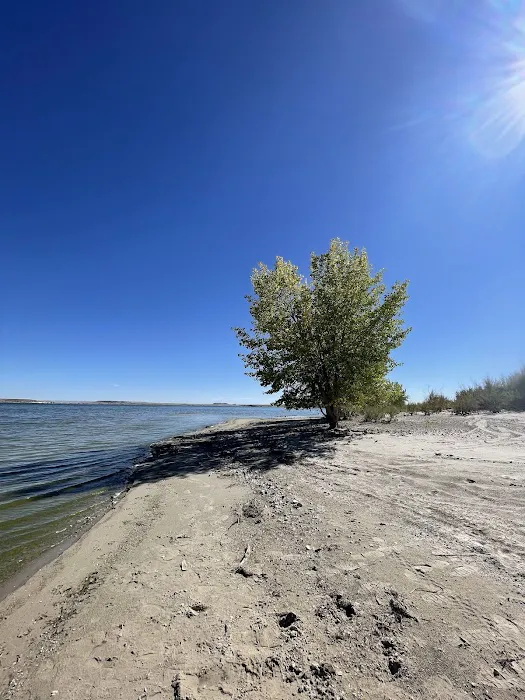 Freier Beach Campsite Picture 9