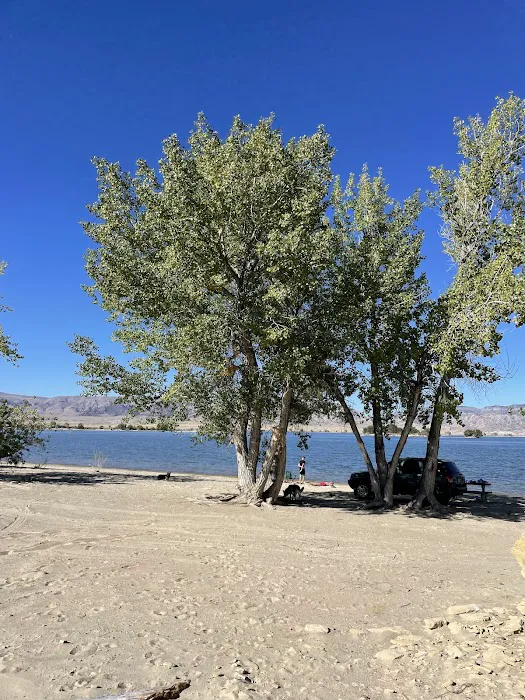 Cottonwood Camping Area Picture 1