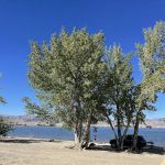 Cottonwood Camping Area