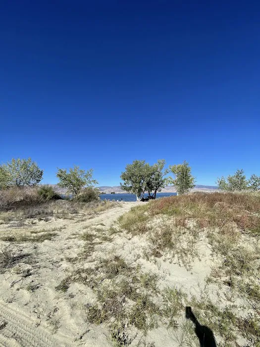 Cottonwood Camping Area Picture 10