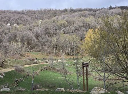 Buckland Flats Campground