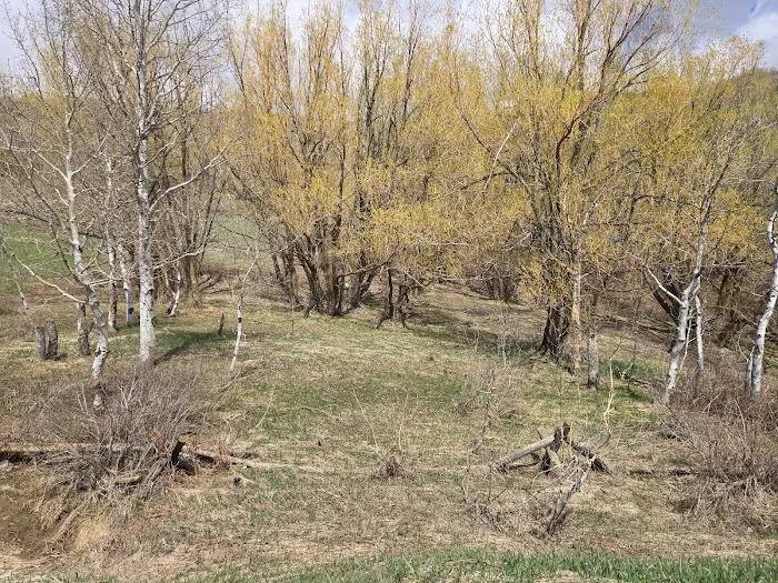 Buckland Flats Campground Picture 3