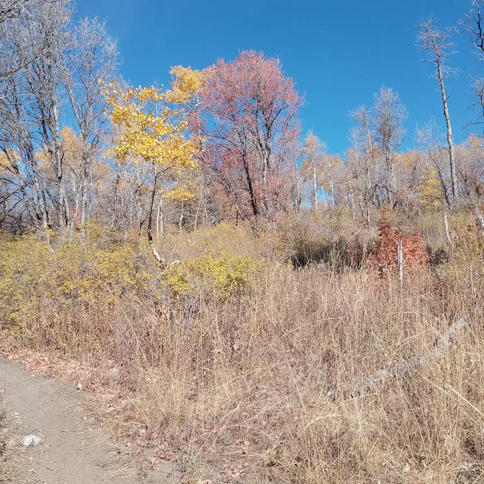 Buckland Flats Campground Picture 4