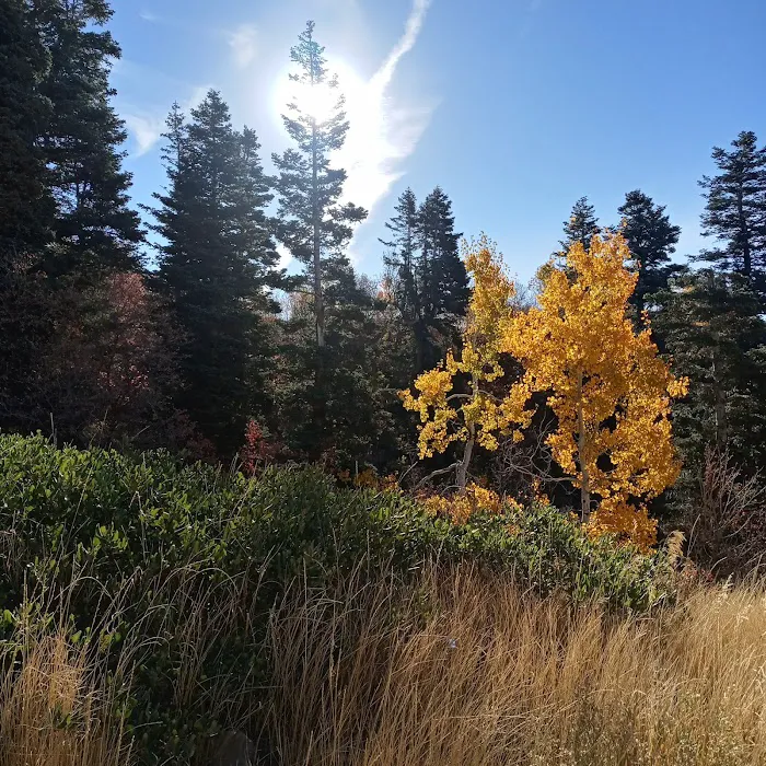 Buckland Flats Campground Picture 5