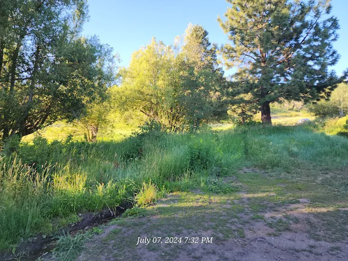Buckland Flats Campground Picture 6