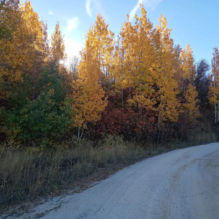 Buckland Flats Campground Picture 8