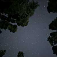 Wasatch Recreation Camp ico