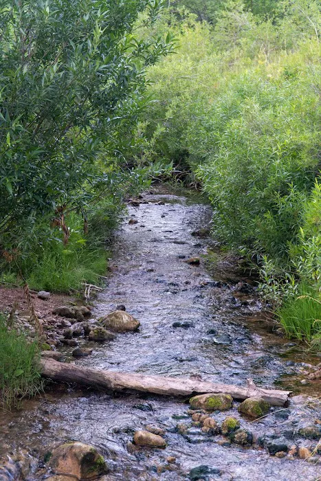 Affleck Park Picture 4