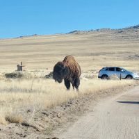 White Rock Bay Campground ico