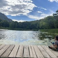 Camp Tracy ico