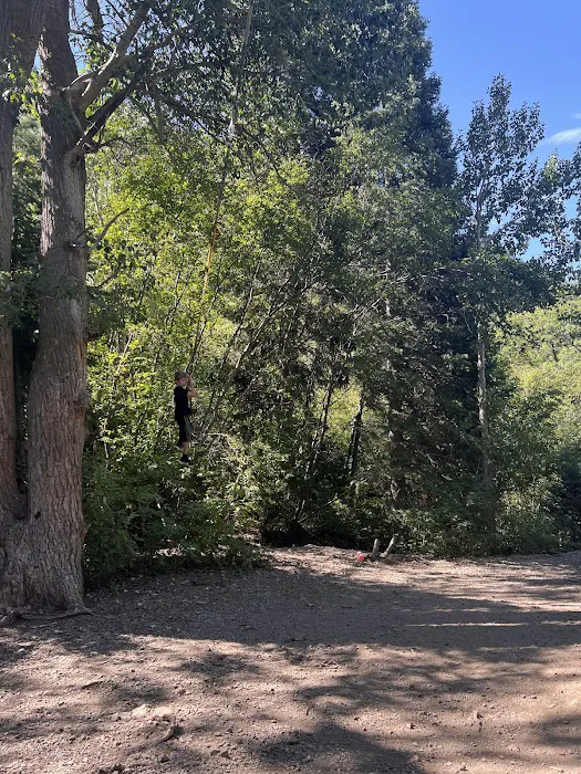 Jordan Pines Group Campground Picture 9