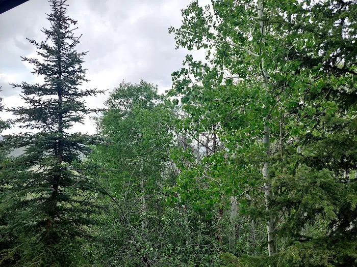Snydermill Lodge Picture 6