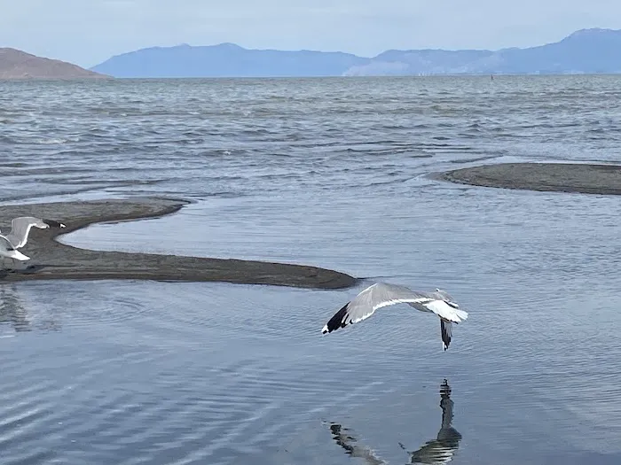 Great Salt Lake Campground Picture 7