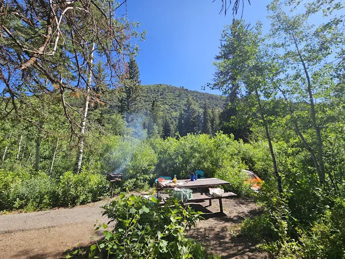 Spruces Campground Picture 1