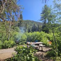 Spruces Campground ico