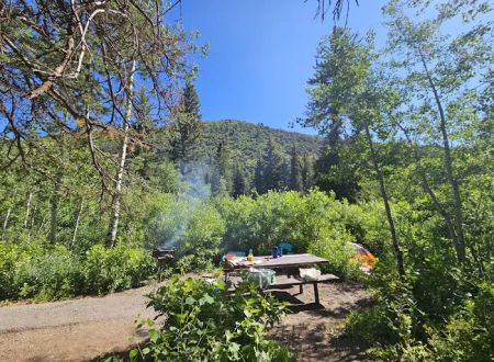 Spruces Campground