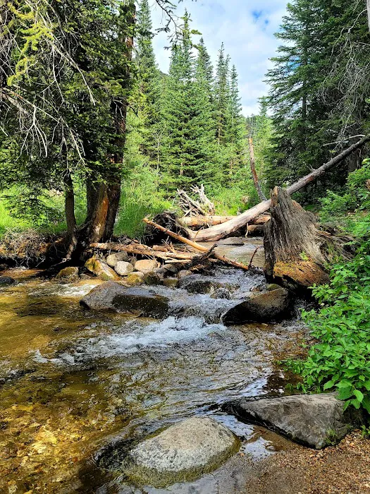Spruces Campground Picture 3