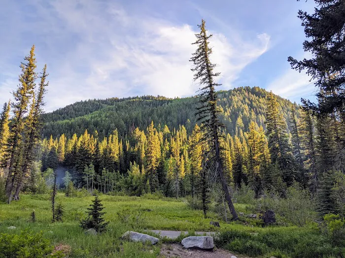 Spruces Campground Picture 4