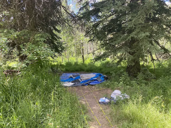 Spruces Campground Picture 5