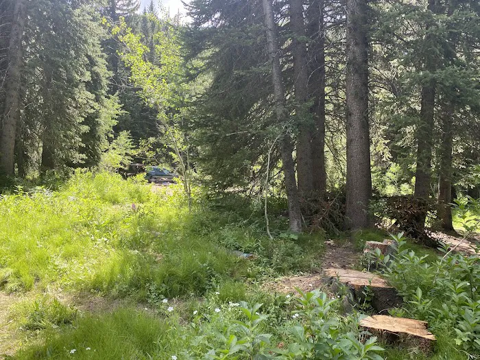 Spruces Campground Picture 6