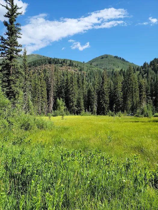 Spruces Campground Picture 7